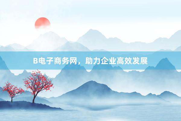 B电子商务网，助力企业高效发展