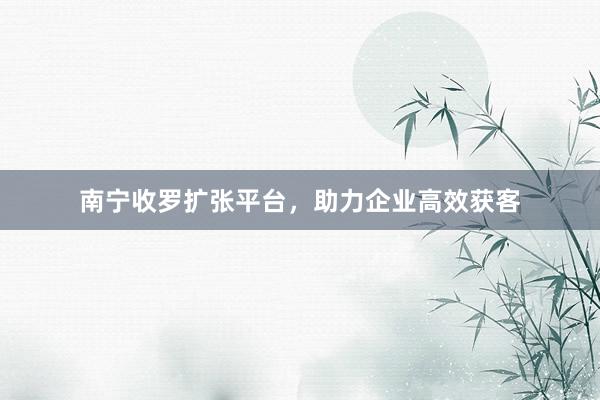 南宁收罗扩张平台，助力企业高效获客