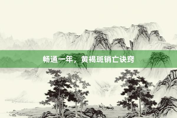 畅通一年，黄褐斑销亡诀窍