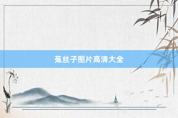 菟丝子图片高清大全