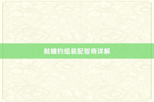 鲢鳙钓组装配智商详解